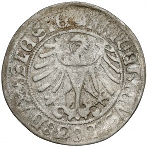 Silesia, Frederick II, Legnica penny no date