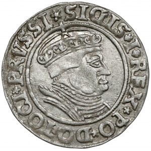 Sigismund I. der Alte, Grosz Toruń 1535 - letzter