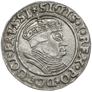 Žigmund I. Starý, Grosz Toruń 1535 - posledný