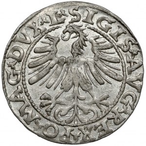 Sigismund II Augustus, Half-penny Vilnius 1563 - DVX*L - mint.