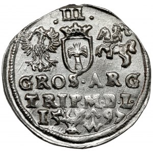 Žigmund III Vasa, Trojka Vilnius 1597 - Lidman - krásna