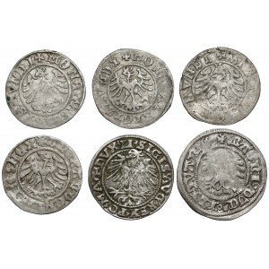Alexander Jagiellonian - Sigismund II Augustus, Vilnius and Cracow half groshes (6pcs)