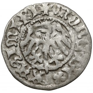 Casimir IV Jagiellonian, Half-penny Cracow