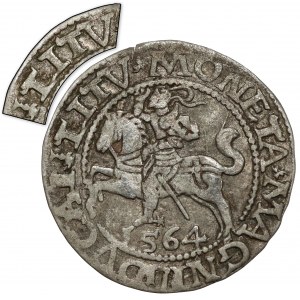 Sigismund II Augustus, halber Pfennig Vilnius 1564 - Pahonia 19 - LITV - sehr selten