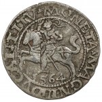Žigmund II August, polgroš Vilnius 1564 - Pahonia 19 - LITV - veľmi zriedkavé