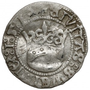 Silesia, Świdnica, Ludwik Jagiellończyk, Świdnica half-penny 1519