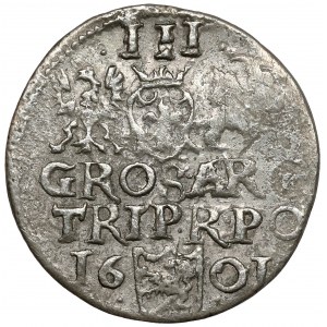 Zygmunt III Waza, Falsyfikat z epoki Trojaka 1601