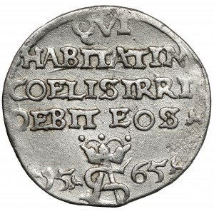 Zikmund II August, Trojak Tykocin 1565 - Výsměch