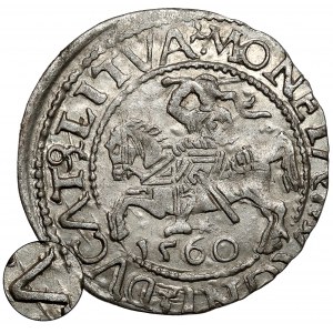 Sigismund II Augustus, Halbpfennig Vilnius 1560 - A in DVCAT ohne Balken