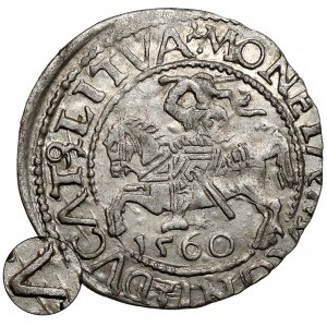 Zikmund II Augustus, půlpenny Vilnius 1560 - A v DVCAT bez pruhu