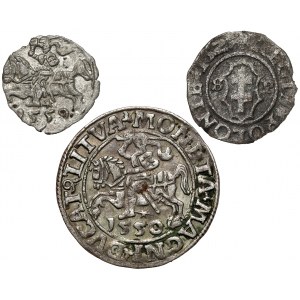 Zygmunt I i II, Trzeciak 1527, Denar 1559 i Półgrosz 1550 (3szt)
