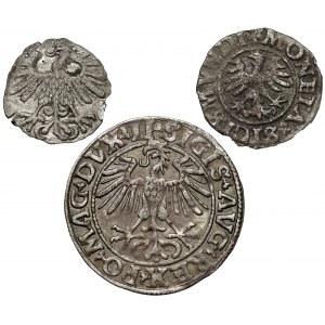Zikmund I. a II., Trzeciak 1527, Denár 1559 a půlpenny 1550 (3ks)