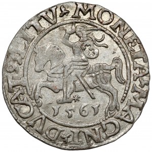 Zikmund II August, půlpenny Vilnius 1561