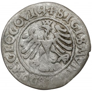 Sigismund I. der Alte, Głogów-Pfennig 1506 - datiert