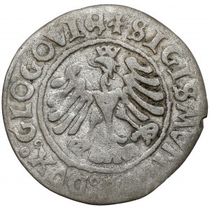 Zikmund I. Starý, Głogów penny 1506 - datováno