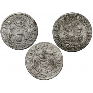 Sigismund III. und Jan II., Grosze 1262 und 1626, Półtorak Poznań 1662 (3 St.)