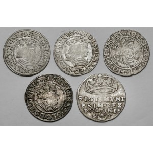 Sigismund I. der Alte, Grosze 1531-1546, Danzig, Torun und Krakau (5pc)