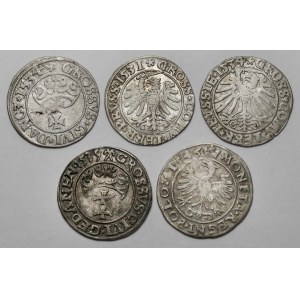 Sigismund I. der Alte, Grosze 1531-1546, Danzig, Torun und Krakau (5pc)