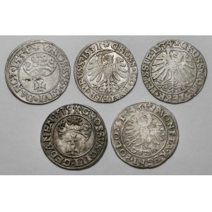 Sigismund I the Old, Pennies 1531-1546, Gdansk, Torun and Cracow (5pc)