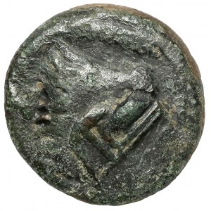 Griechenland, Thrakien / Chersones, Pantikapaion (310-303 v. Chr.) AE19 - Gegenstempel