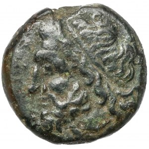 Grécko, Sicília, Syrakúzy, Hieron II (275-215 pred n. l.) Bronz