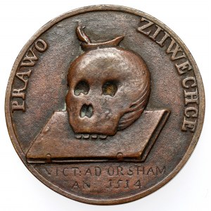 Medaila z 19. storočia, Žigmund I. Starý - ŽIVOTNÉ PRÁVO 1514 - odliatok