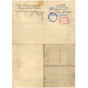 Passport, Warsaw 1907
