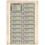 BGK, Pledge letter for 100 zloty 1928 + 3 additional coupon sheets