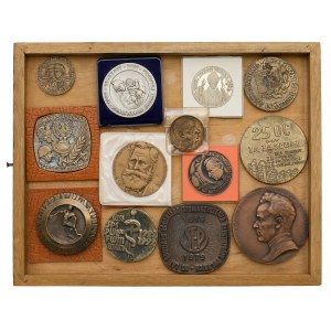 Set of mainly large medals and plaques (13pcs)