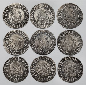 Prussia, Albrecht Hohenzollern, Königsberg pennies 1542-45 (9pc)