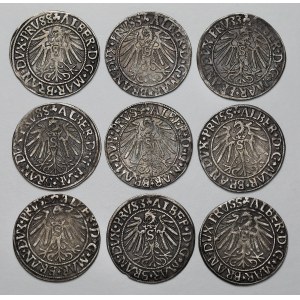 Prussia, Albrecht Hohenzollern, Königsberg pennies 1542-45 (9pc)