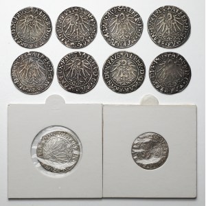 Prussia, Albrecht Hohenzollern, Pennies and shellac 1541-1559 (10pc)