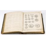 National Numismatics, K. W. Stężyński-Bandtkie 1839-1940