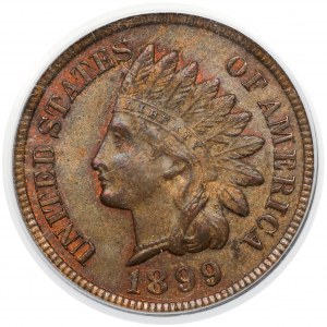 USA, 1 cent 1899 - Indiánská hlava