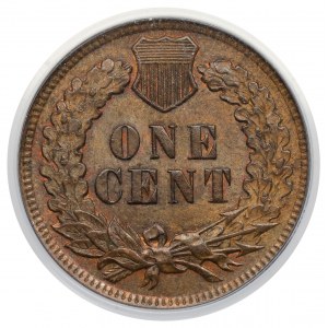 USA, 1 cent 1899 - Indiánska hlava