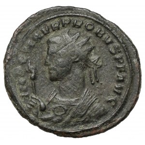 Probus (276-282 n. l.) Antonín, Řím