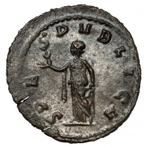 Claudius II. z Gothy (268-270 n. l.) Antoninianus
