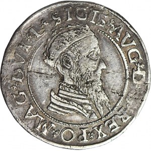 RR-, Zygmunt II August, Czworak 1568, Wilno, DATA ODDALONA, rzadki