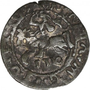 R-, Zygmunt II August, Półgrosz 516, fantazyjna pogoń, fałszerstwo z epoki