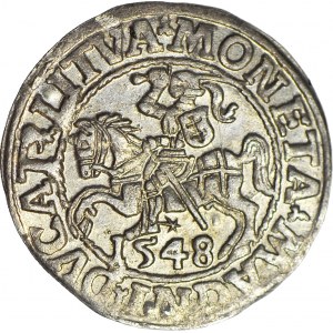 Zygmunt II August, Półgrosz 1548, Wilno, menniczy
