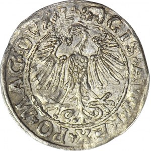 Zygmunt II August, Półgrosz 1548, Wilno, menniczy