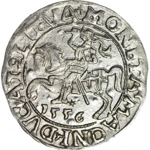 Zygmunt II August, Półgrosz 1556, Wilno, piękny