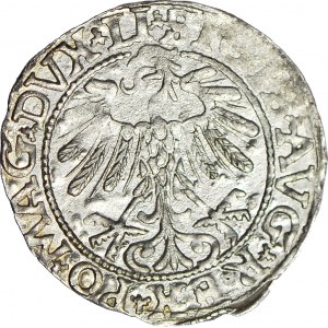 Zygmunt II August, Półgrosz 1557, Wilno, piękny, KROPKA nad pogonią