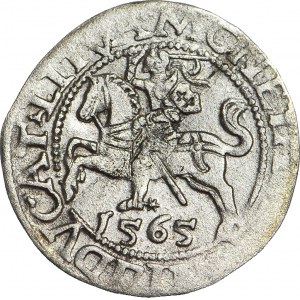 Zygmunt II August, Półgrosz 1565, Wilno, topór, LITVA/L