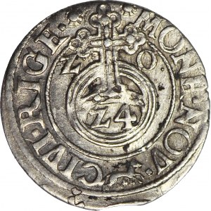 Zygmunt III Waza, Półtorak 1620, Ryga, Lis u dołu, piękny