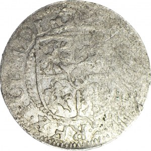 RR-, Zygmunt III Waza, Grosz (półtorak) 1616, Ryga, BEZ KRZYŻA, b. rzadki