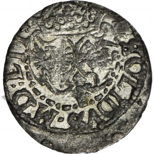 Zygmunt III Waza, Szeląg 1618, Wilno, Bogoria, menniczy