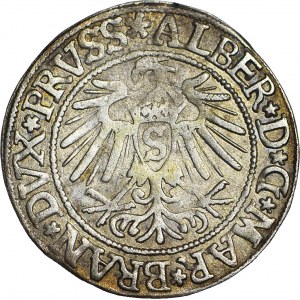 Lenne Prusy Książęce, Albrecht Hohenzollern, Grosz 1537, Królewiec