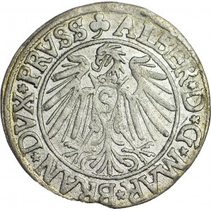 Lenne Prusy Książęce, Albrecht Hohenzollern, Grosz 1540, Królewiec