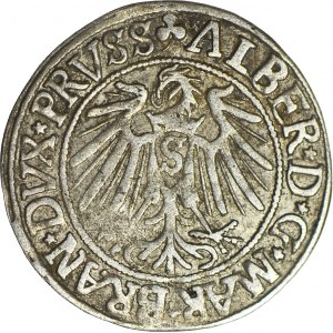 Lenne Prusy Książęce, Albrecht Hohenzollern, Grosz 1542, Królewiec